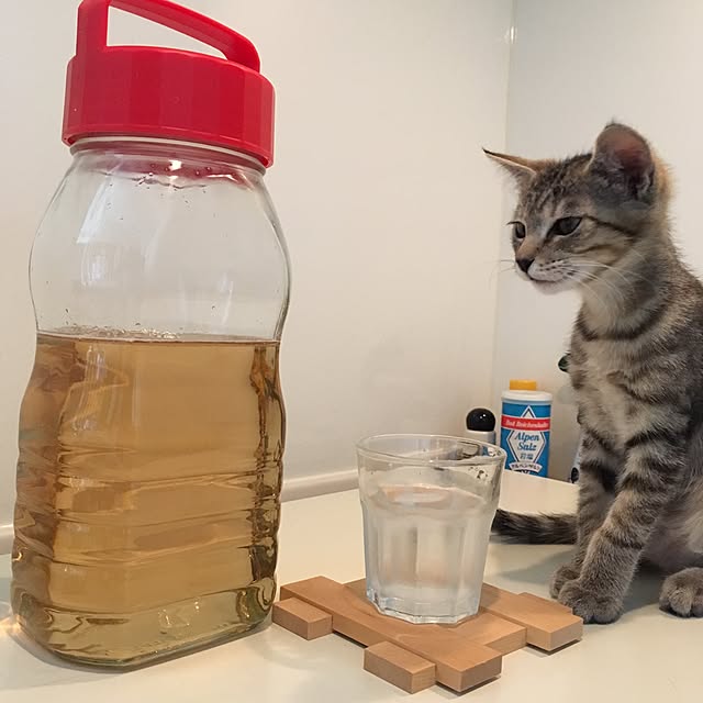 mikomaruさんの実例写真