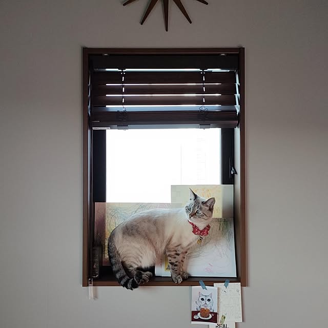 Atelier_tamakiさんの実例写真