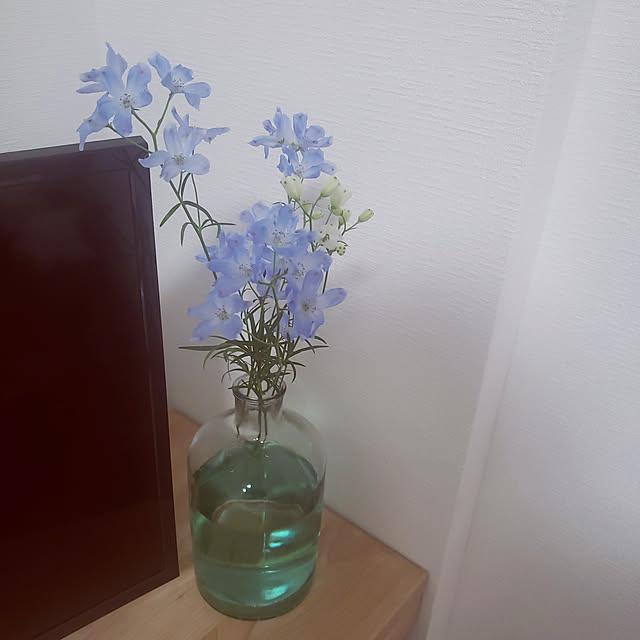 snowさんの実例写真