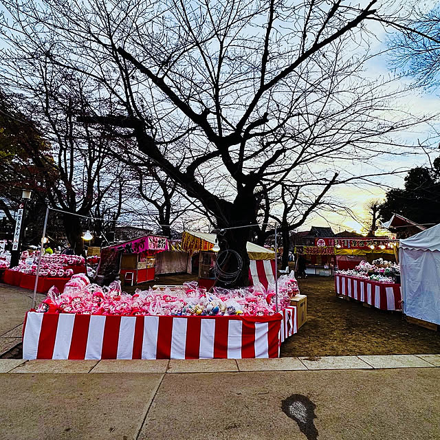 chacoさんの部屋
