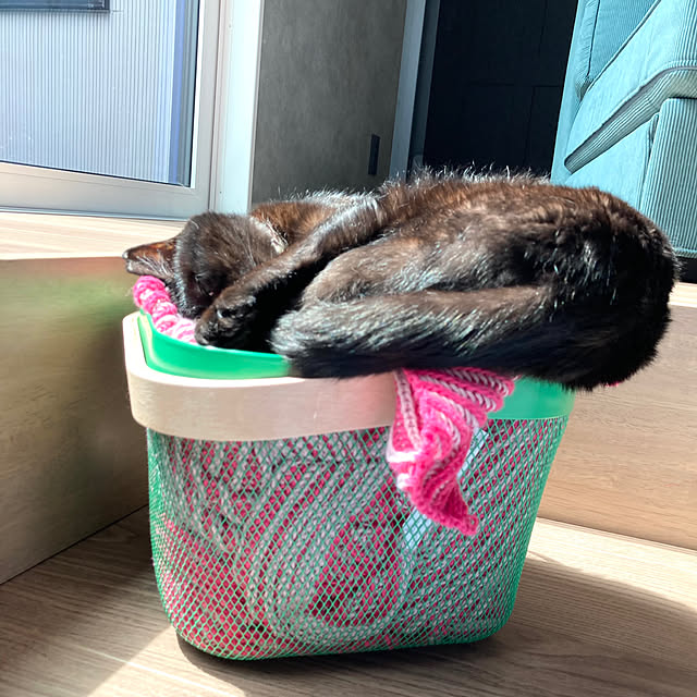 ma.kiさんの実例写真