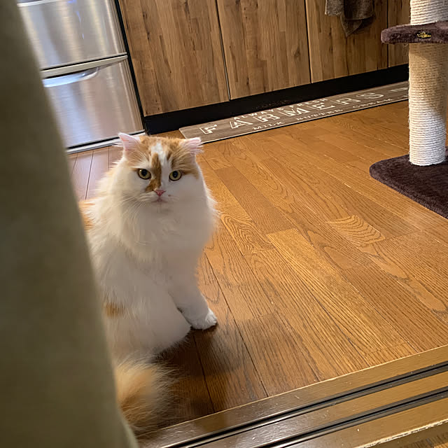 keiさんの実例写真