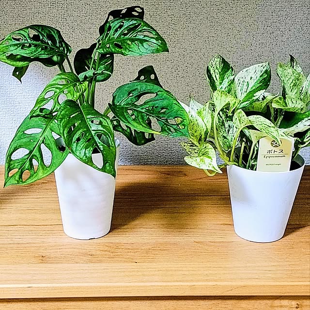 hanachanさんの部屋