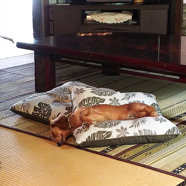 naoさんの実例写真