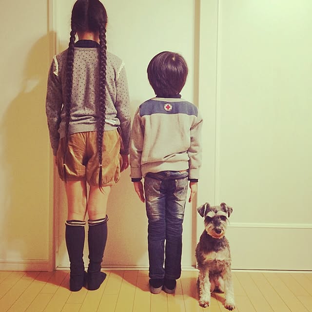 naoさんの実例写真
