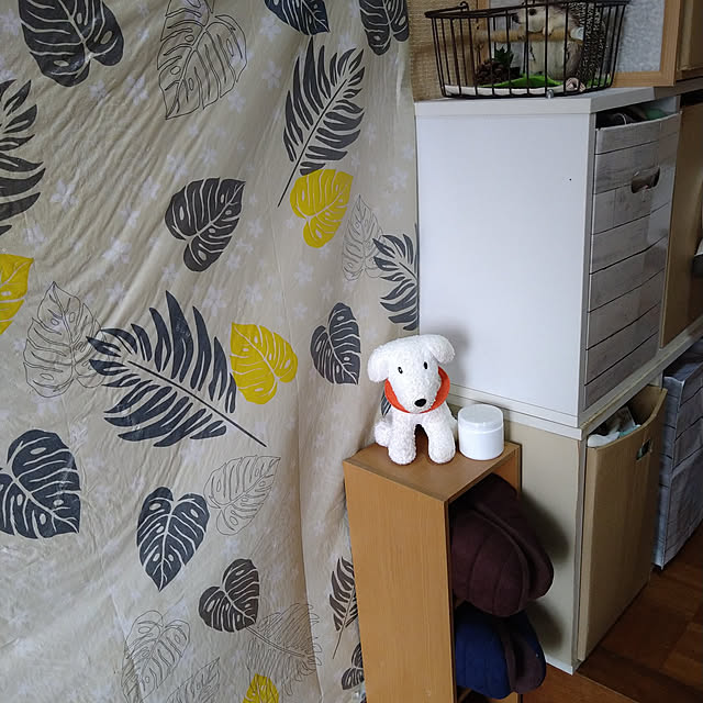 ameamekaasanさんの実例写真