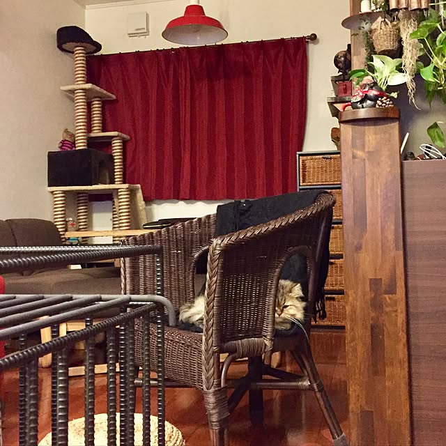butachanさんの実例写真