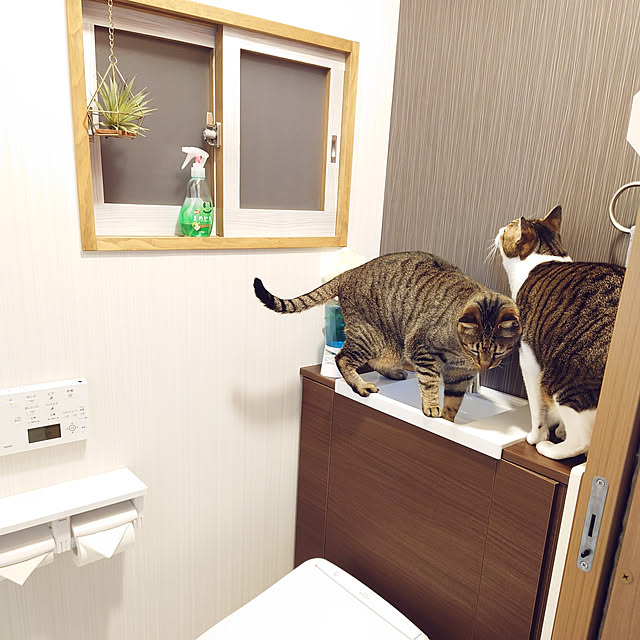 nachiさんの実例写真