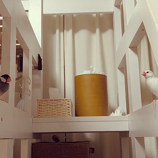 escargotさんの部屋