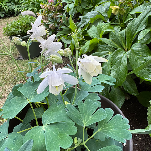 mamizaさんの部屋