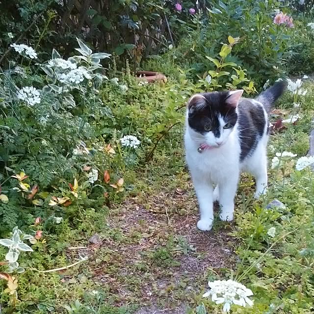 yum0408さんの実例写真