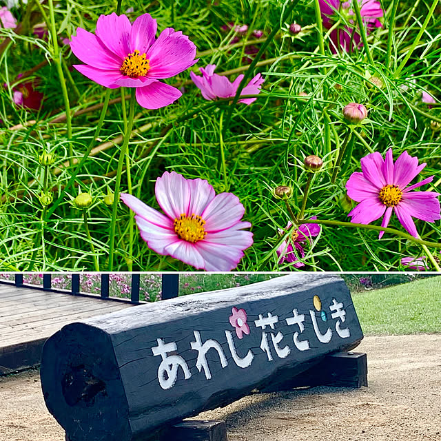 tututu0204さんの部屋