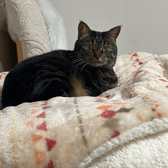 momocchiさんの実例写真