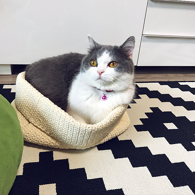 noikoさんの実例写真
