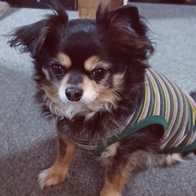 hiro.904さんの部屋