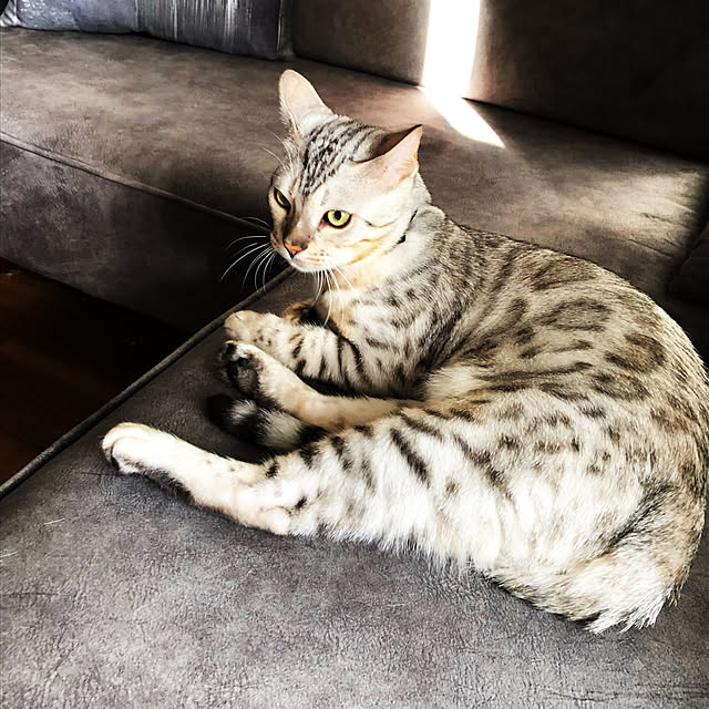 yuさんの実例写真