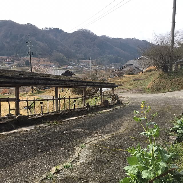 実例写真