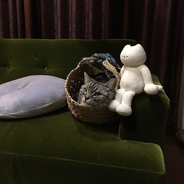 mikomaruさんの実例写真