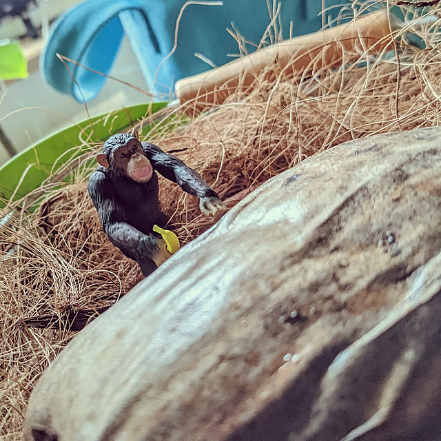 GINさんの実例写真