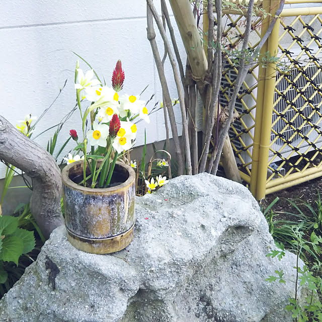 eriponさんの実例写真