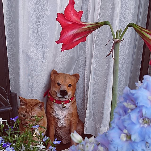 NOAHさんの部屋
