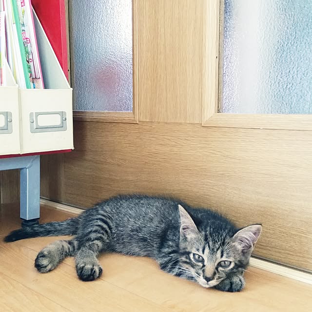 luckyさんの実例写真