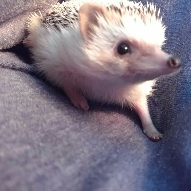 kuruさんの実例写真