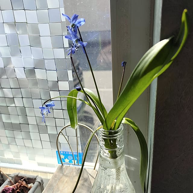 kiraさんの部屋