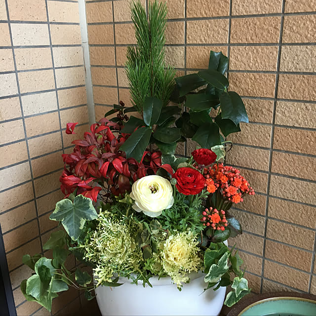 実例写真