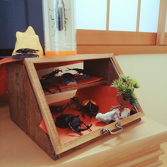 maikoさんの実例写真