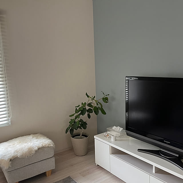 mari50さんの実例写真