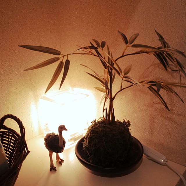 merryさんの実例写真