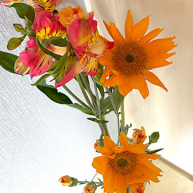 syutmmさんの部屋