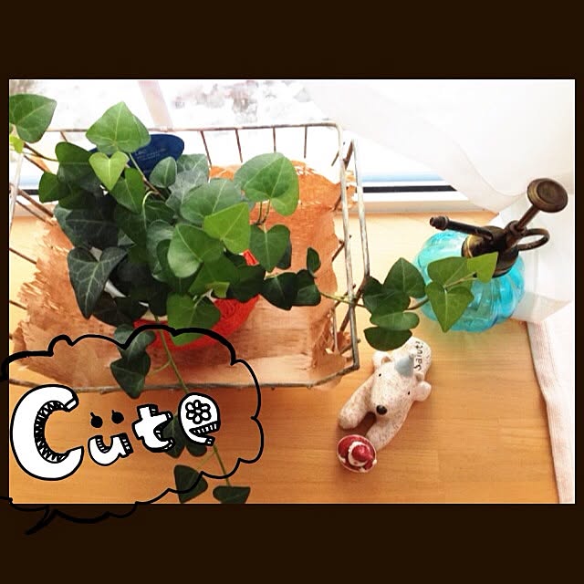 Snowさんの実例写真