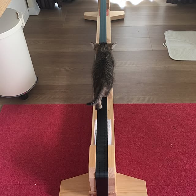 mikomaruさんの実例写真