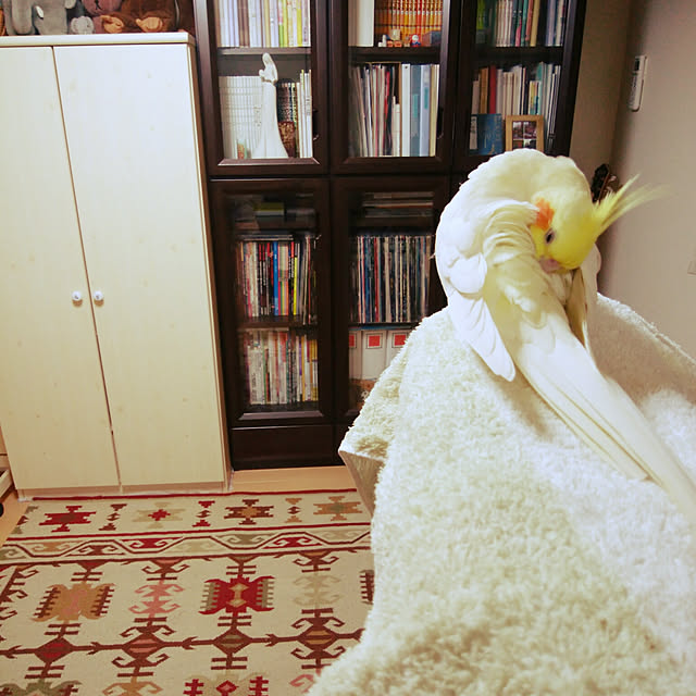 pontaさんの実例写真