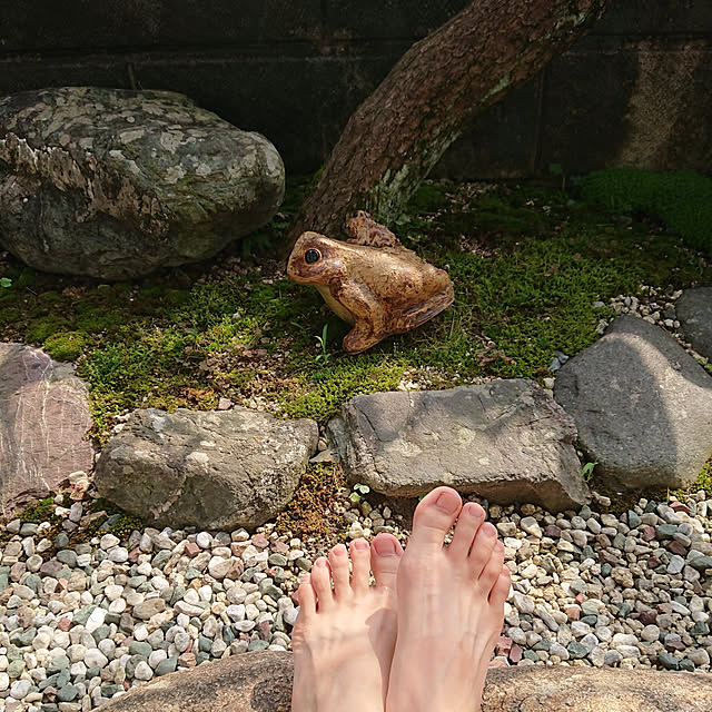 showanoieさんの実例写真