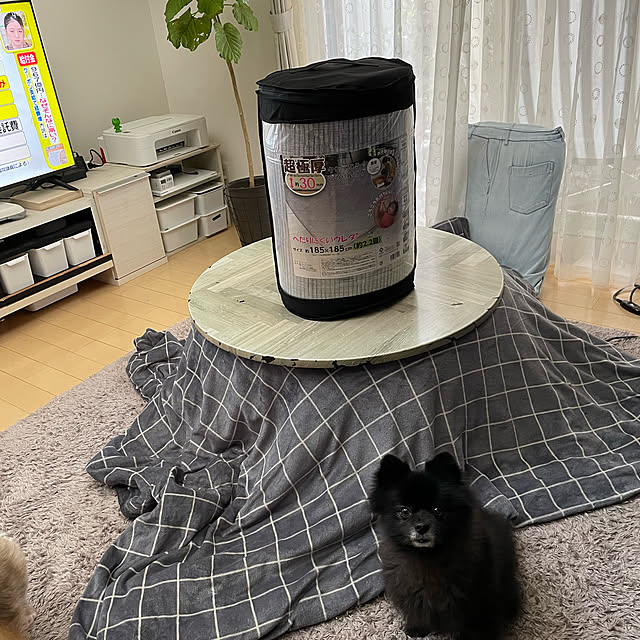 BbBbさんの実例写真