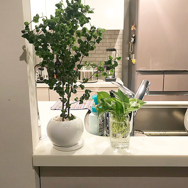 KandKさんの実例写真