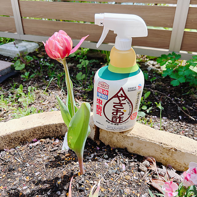 chanduさんの部屋