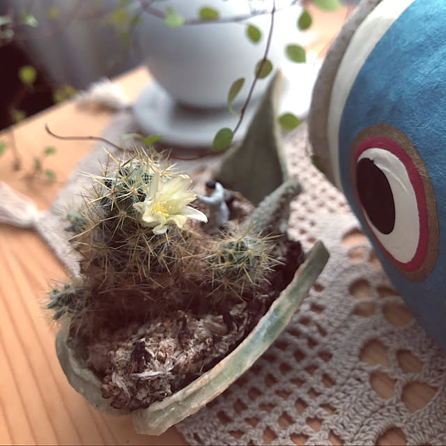 okkoさんの実例写真