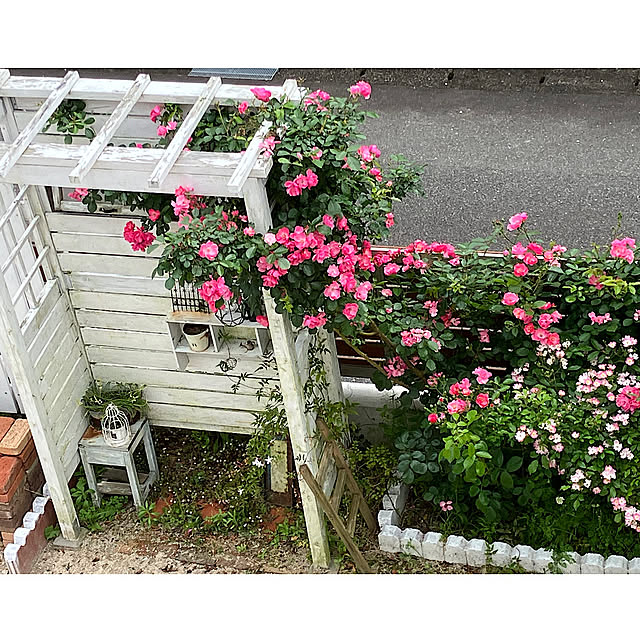 yumicloverさんの部屋