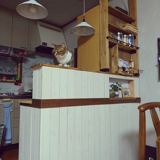 battamanさんの実例写真