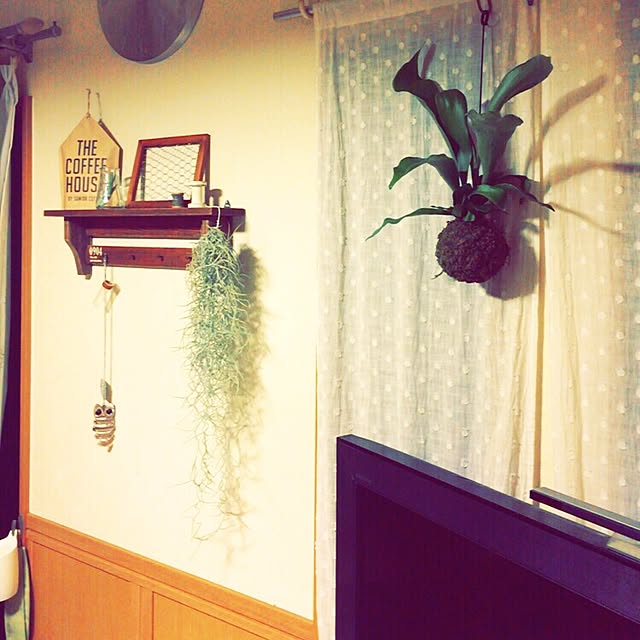 ebiomanさんの実例写真