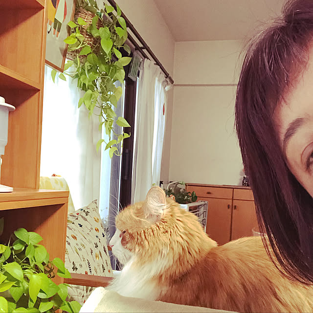 uchidaizuさんの実例写真