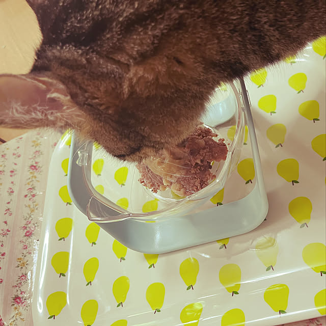 kittenblueさんの実例写真