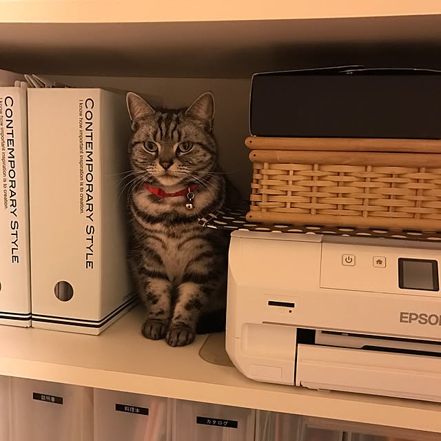hiyupan88さんの実例写真