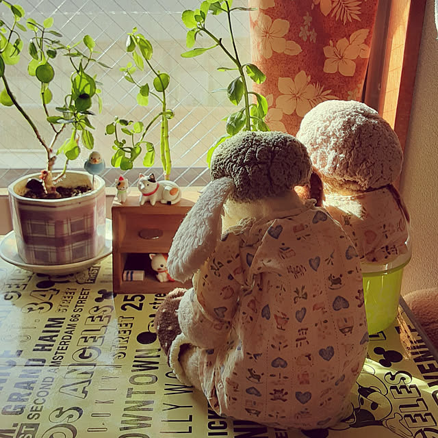 maakoさんの実例写真