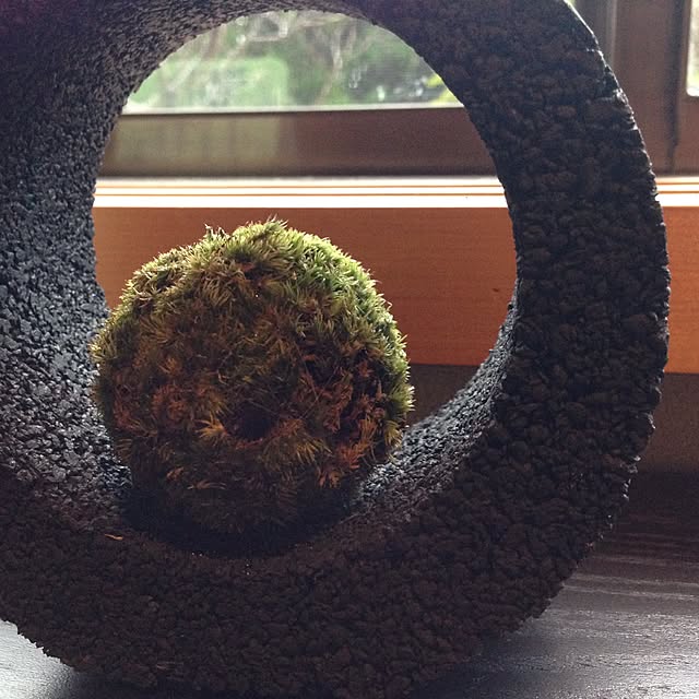 cohariさんの実例写真
