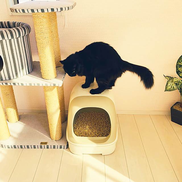 minamiさんの実例写真